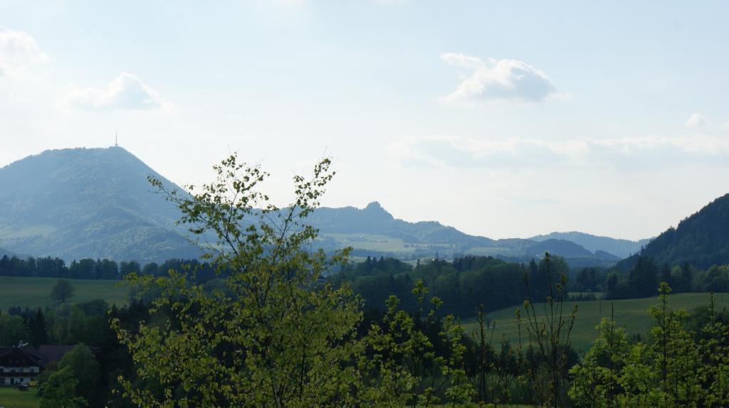 Pension Schierl Faistenau Rum bild